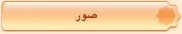 صور