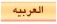 زبان عربی